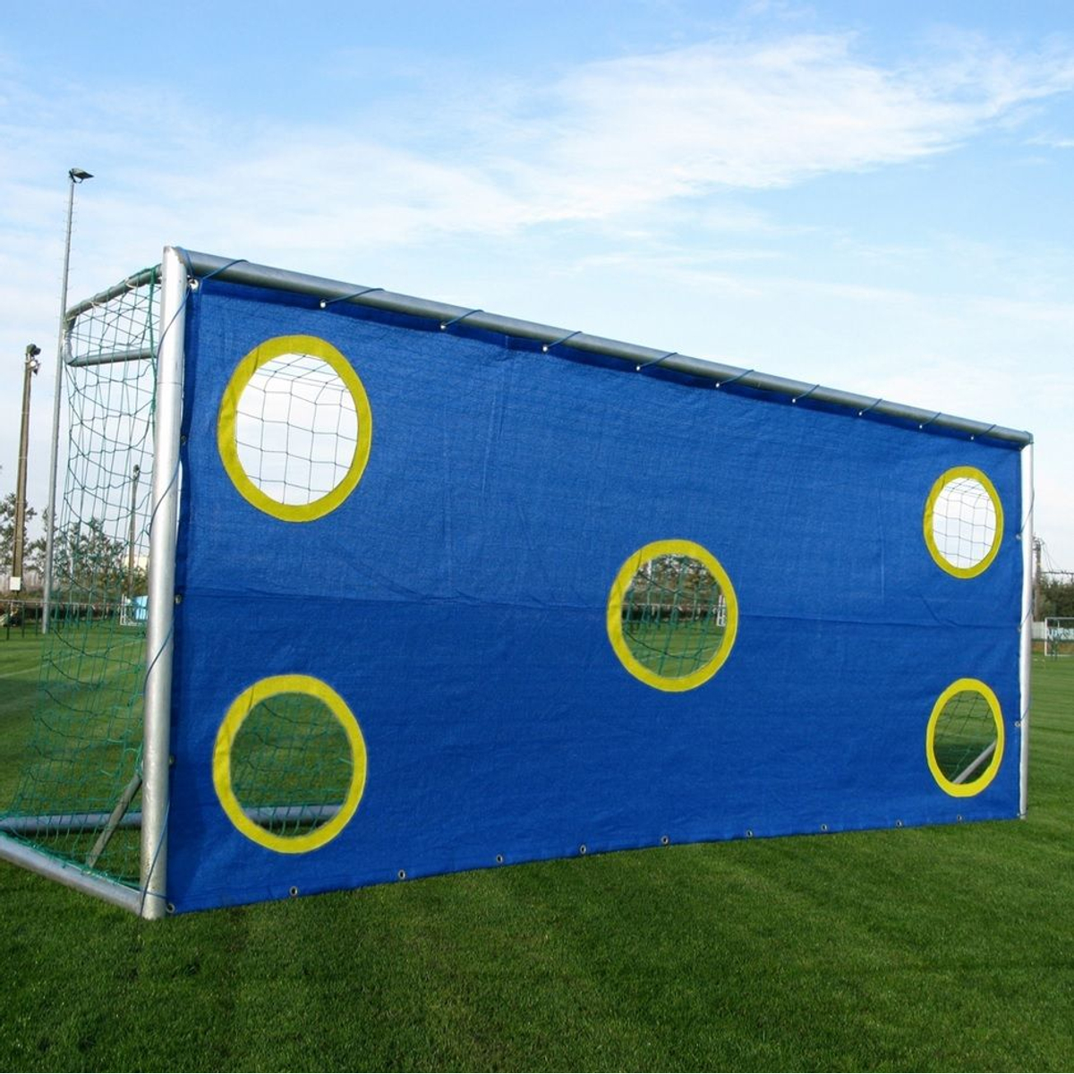 Calzio Voetbaldoel Oefenwand 500 (5 gaten)